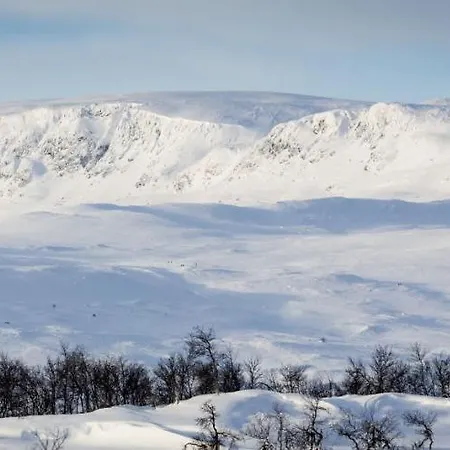 Yard - Cozy Holiday home Geilo