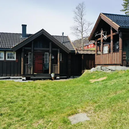 Yard - Cozy