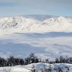 Yard - Cozy Prázdninový dům Geilo