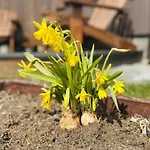 Yard - Cozy * Geilo